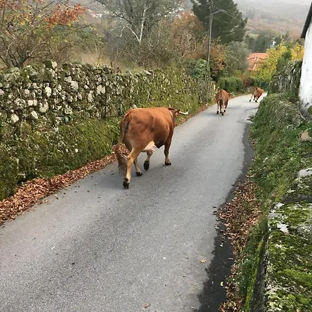 Casa De Ovil Σπίτι διακοπών Baião